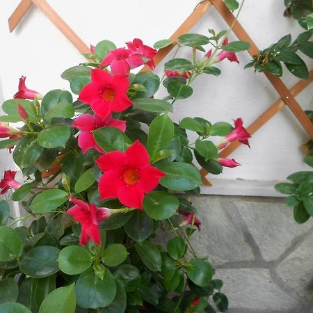Aggela Guesthouse Skopelos Town Ngoại thất bức ảnh